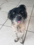 Lua