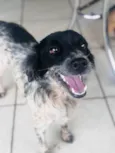 Lua