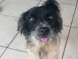 Lua