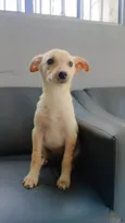 Mimi
