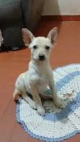 Mimi