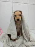 Mimi