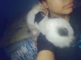 Buchinho