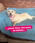 Larissa