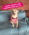Larissa