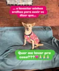 Larissa