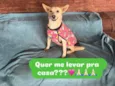 Larissa