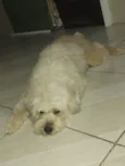 Mel