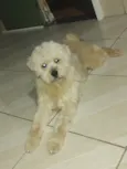 Mel