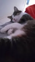 Gamora