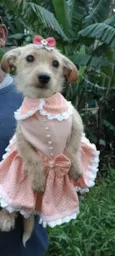 Lili