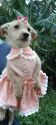 Lili