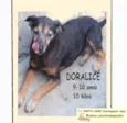 Doralice