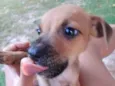 Sem nome