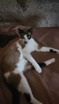 Gabriel