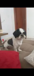 PAÇOCA