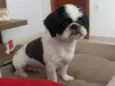PAÇOCA