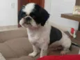PAÇOCA