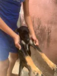 VANILSON DIEGO SILVA