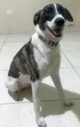 Mel