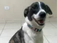 Mel