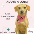 Duda