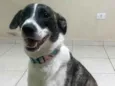 Mel