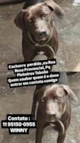 Sem nome