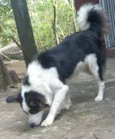 TOMÉ