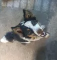 TOMÉ