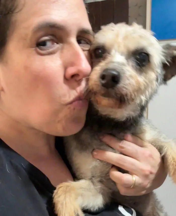 Cachorro ra a SRD-ViraLata idade 3 anos nome Babi