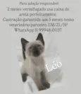 Léo