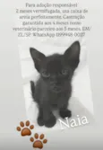 Naia
