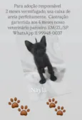 Nayla