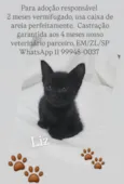 Liz