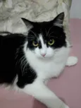 Mia