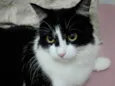 Mia