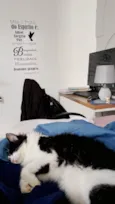 Mia