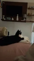 Mia