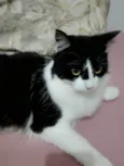 Mia