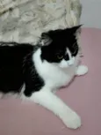 Mia