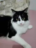 Mia
