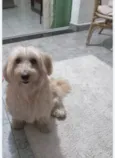 Luigi