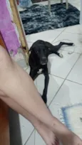 Preto