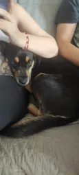 Não sei