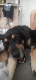 Não sei
