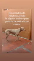 Caramelo