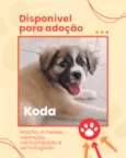 Koda