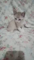 CLARINHO