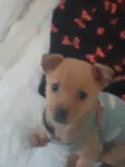 Bella e Clara